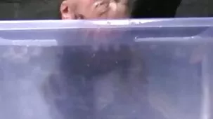 Un hombre rico trató a videos caseros de señoras maduras su séquito con champán y los besó en el culo.