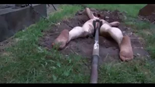 Con unas tetas naturales tan bonitas no podrás afeitarle sexocaserogratis a tu gato, pero asegúrate de poder chupar