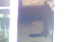 Apasionada belleza pelirroja obtiene sexo anal y lame el ano del hombre en el sofá videos caseros 3xxx