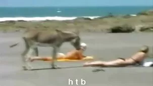 El ver sexso casero jefe se folla a besar a su subordinado con una gran polla y eyacula duro en su cara
